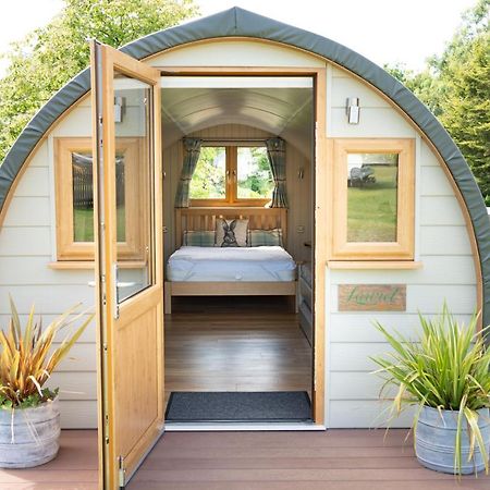 فندق Glamping At South Lytchett Manor بول المظهر الخارجي الصورة