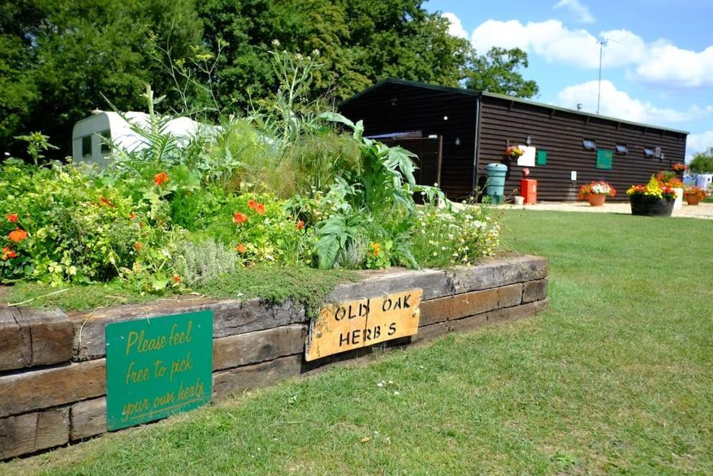 فندق Glamping At South Lytchett Manor بول المظهر الخارجي الصورة